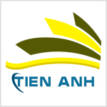 tien-anh-group